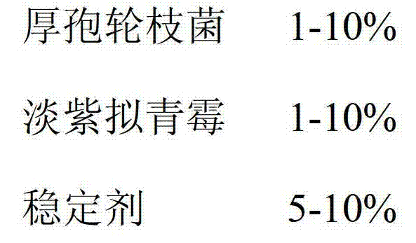 Nematicidal composition containing verticillium chlamydosporium and Paecilomyces lilacinus and preparation method thereof