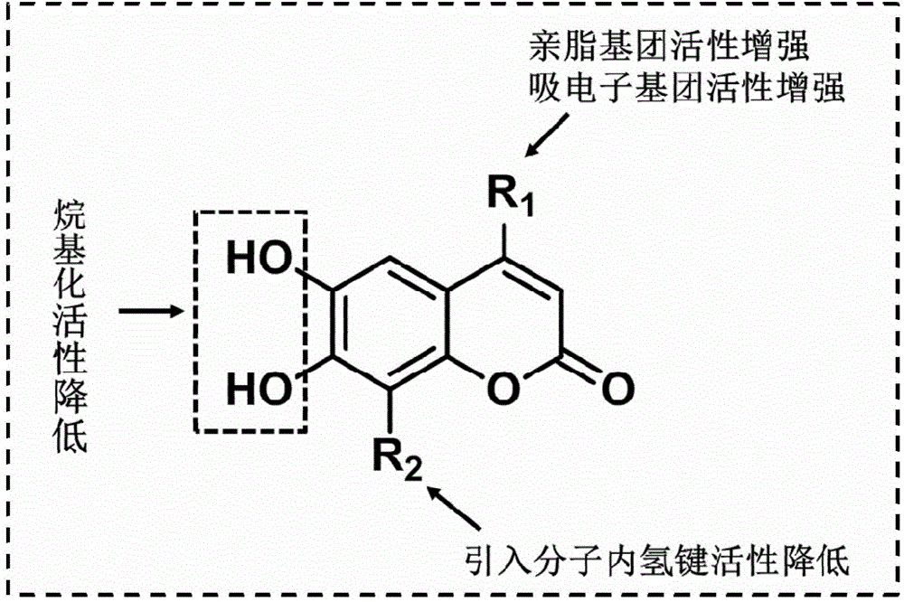 Anti-apoptosis Mcl-1 protein inhibitor, and applications thereof