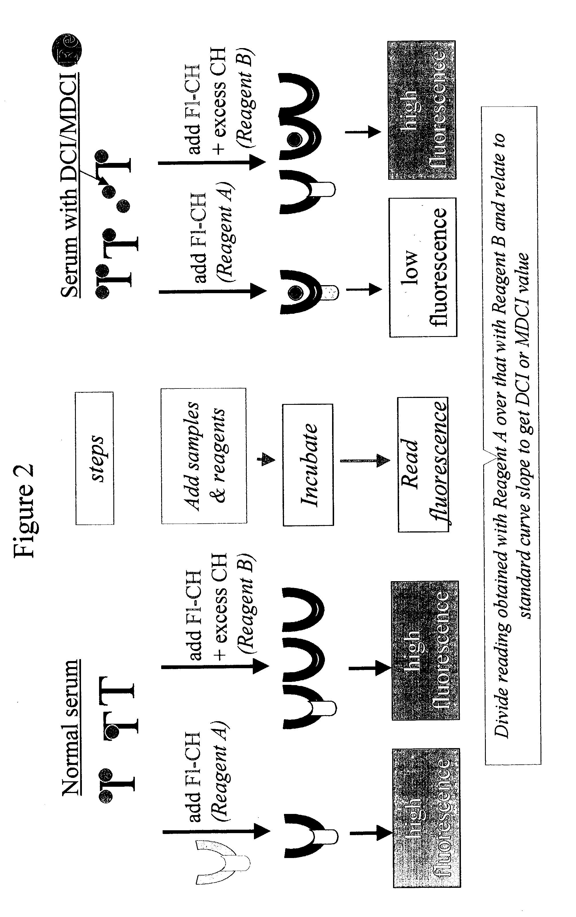 Molecules and methods using same for measuring non-transferrin bound iron