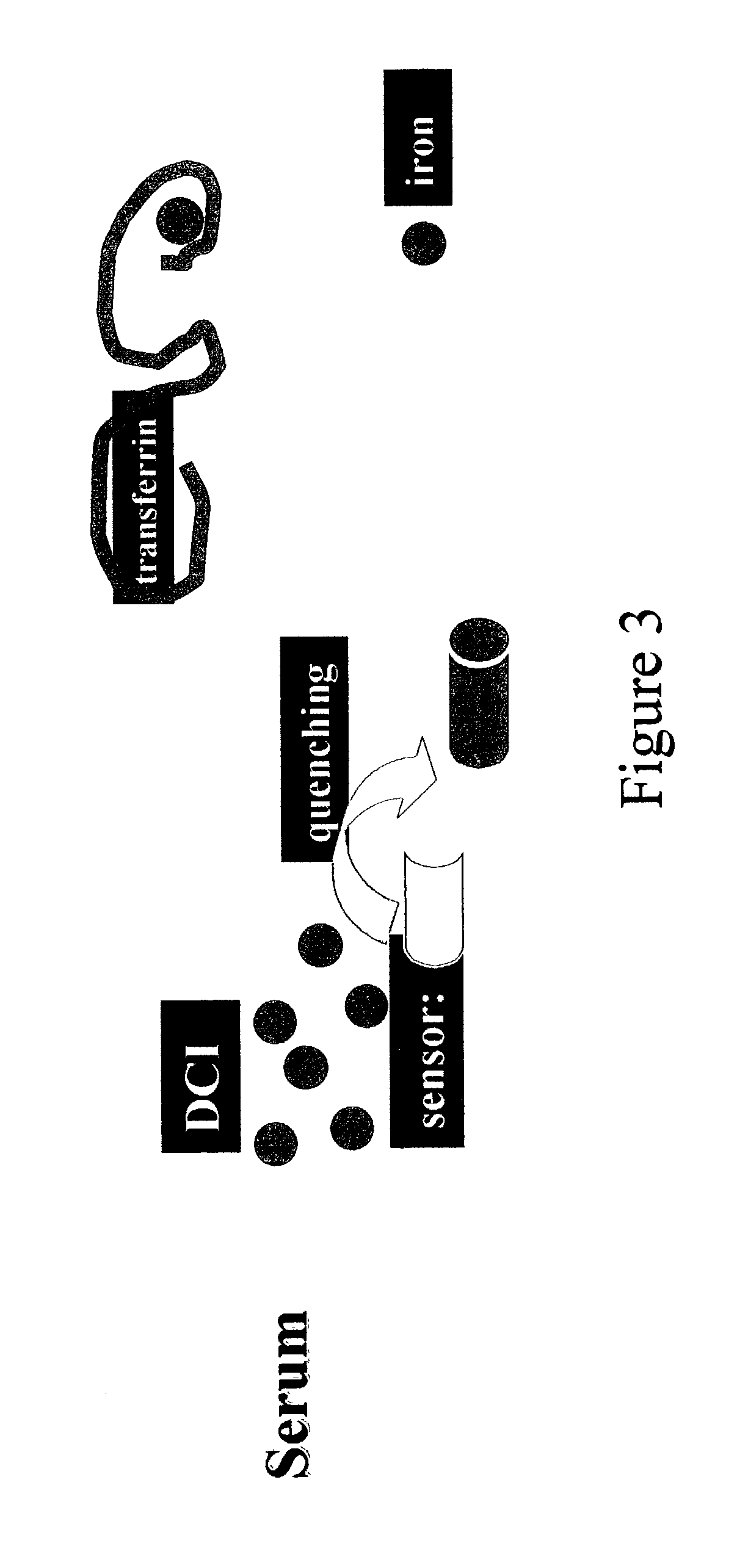 Molecules and methods using same for measuring non-transferrin bound iron