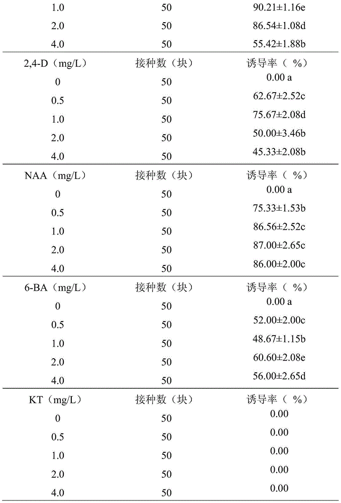 Method for promoting Anji white tea callus proliferation and improving tea polyphenol content in Anji white tea calluses