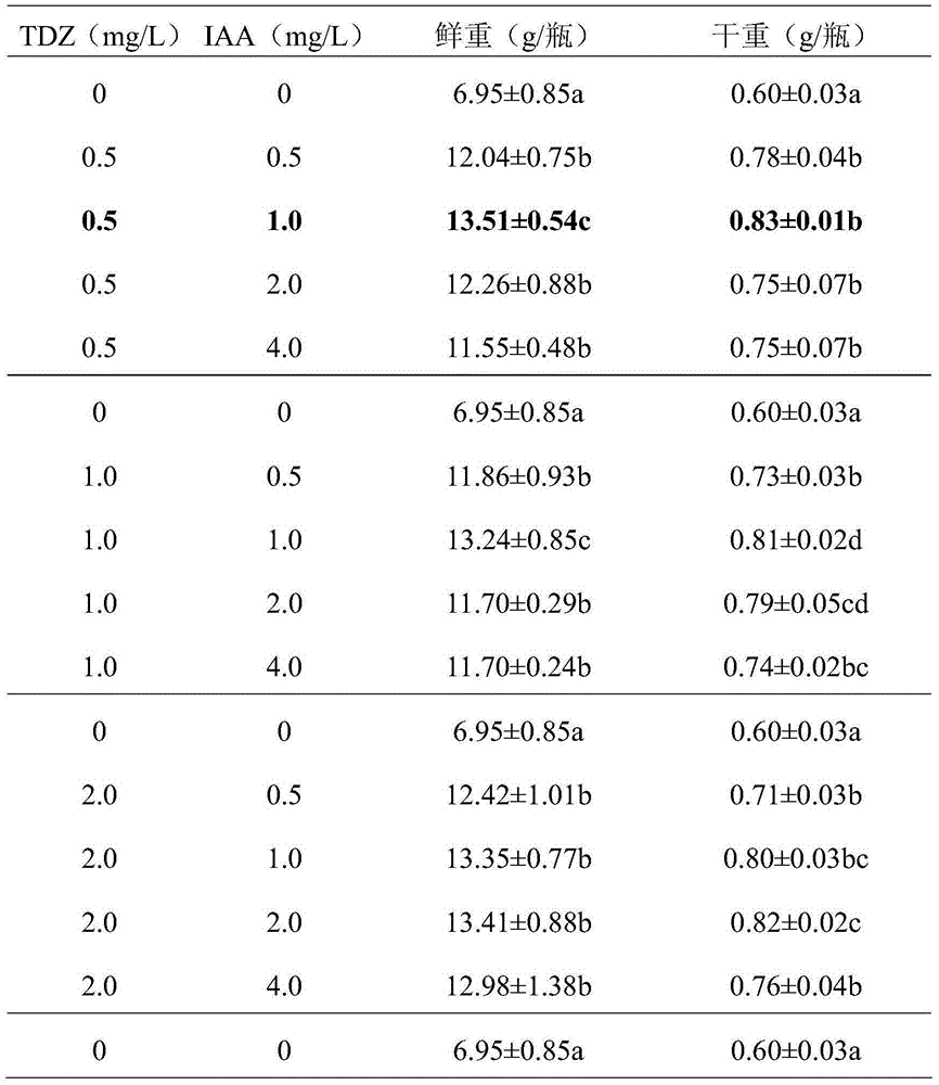 Method for promoting Anji white tea callus proliferation and improving tea polyphenol content in Anji white tea calluses