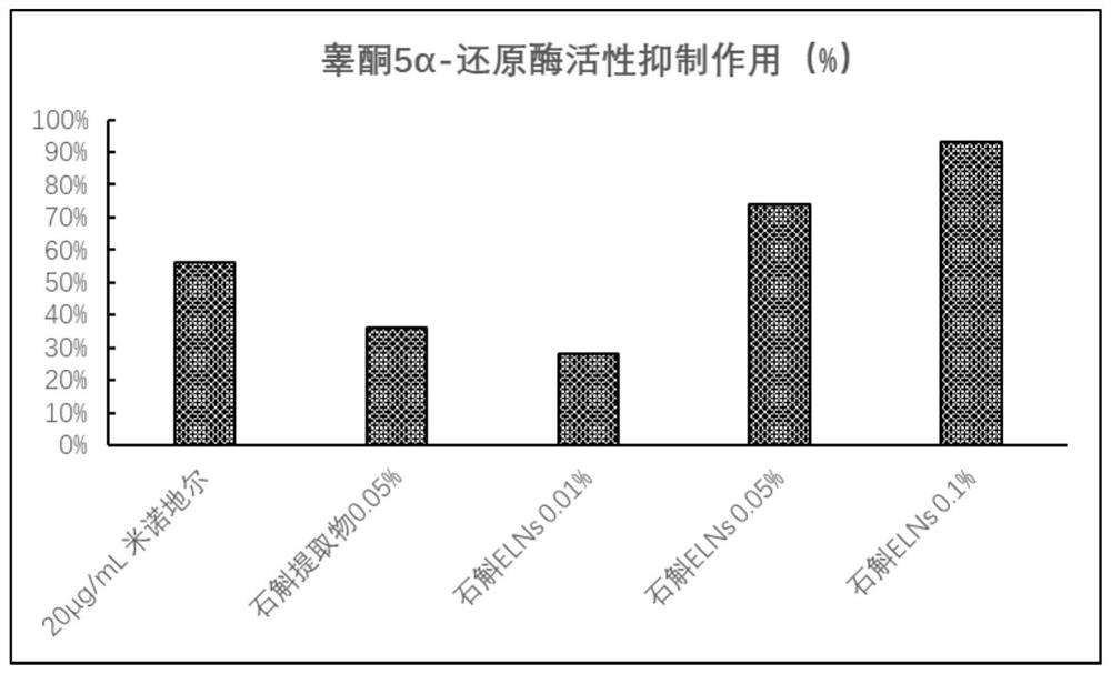 Dendrobium-derived exosome-like vesicles as well as preparation and application thereof in improving alopecia