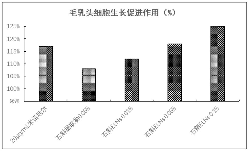 Dendrobium-derived exosome-like vesicles as well as preparation and application thereof in improving alopecia