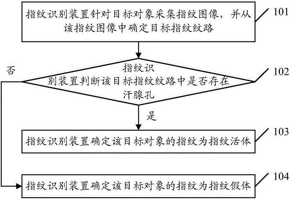 Fingerprint identification method and device