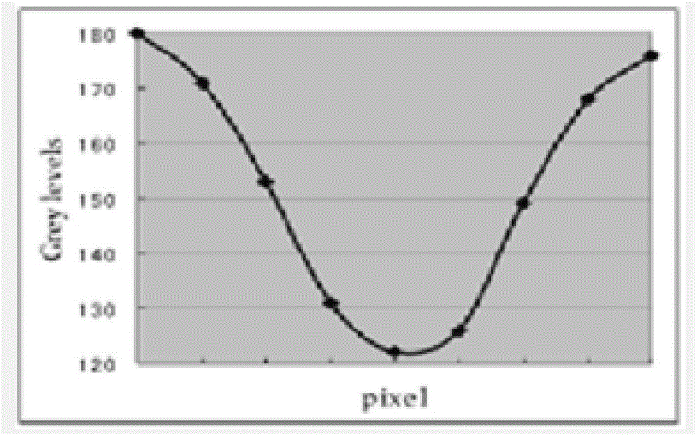 Fingerprint identification method and device