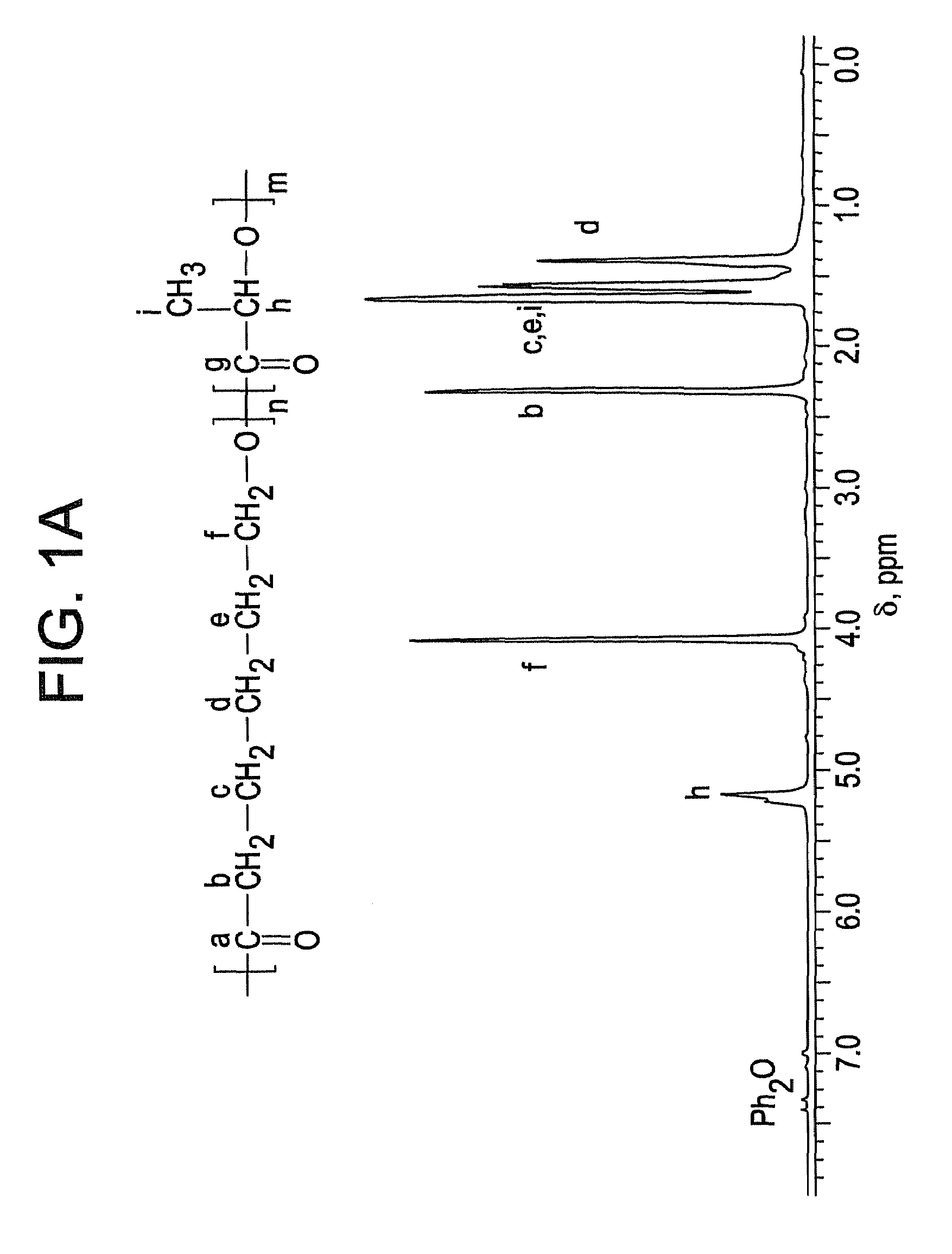 Ring-opening polymerization of cyclic esters, polyesters formed thereby, and articles comprising the polyesters