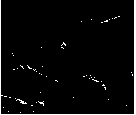 Construction method of tissue engineering epidermis model