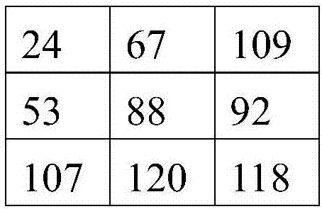 Binocular stereo matching method and apparatus based on oblique plane smoothing