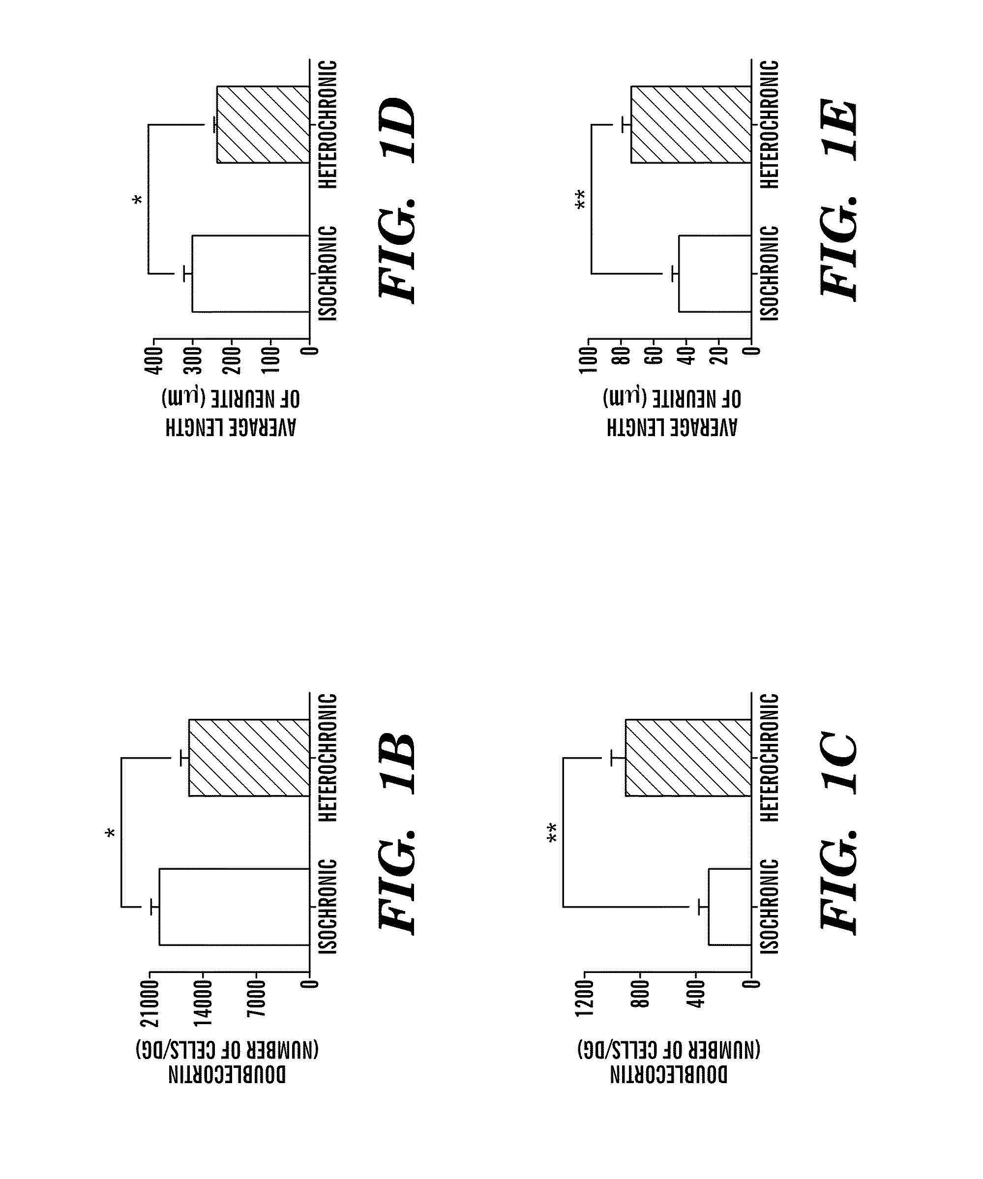 Biomarkers of aging for detection and treatment of disorders