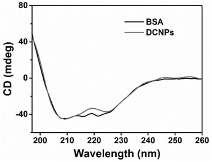 Ultra-small protein composite nanoparticles with near-infrared photothermal effect and multimodal imaging functions, its preparation method and application