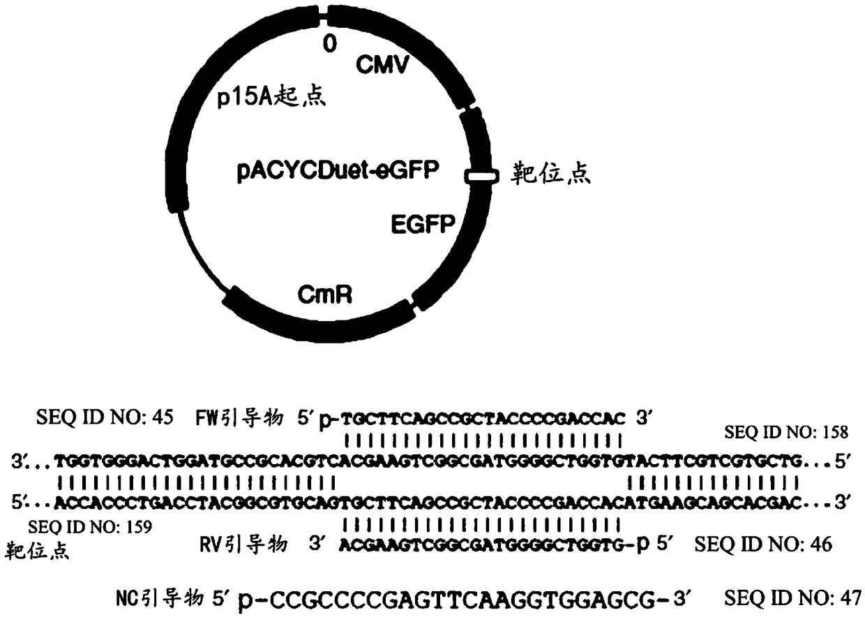 Compositions and methods for gene editing