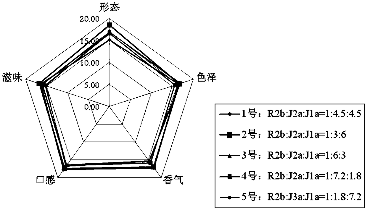 Complex starter and preparation method and applications thereof