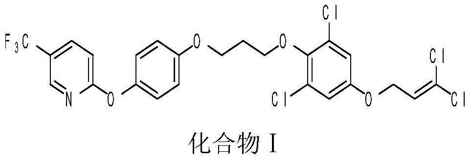 Binary insecticide composition and application thereof