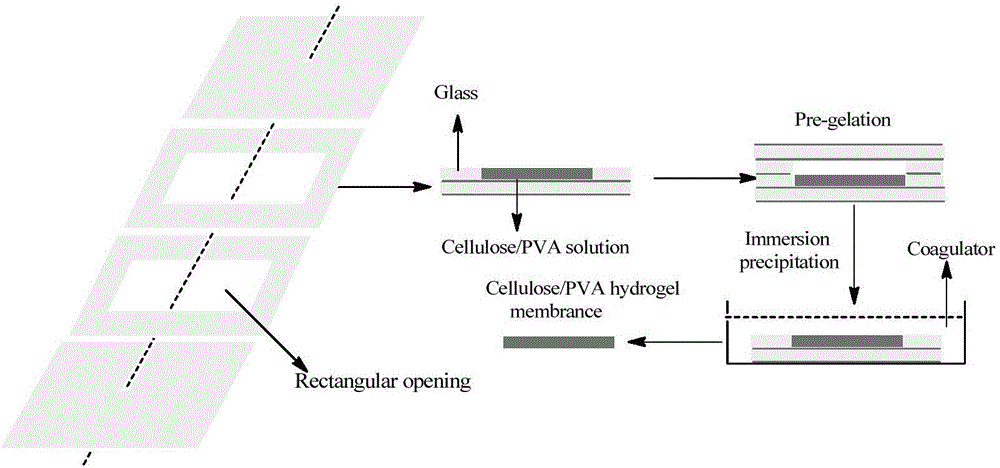 High-strength cellulose/polyvinyl alcohol compound hydrogel, and preparation and application thereof