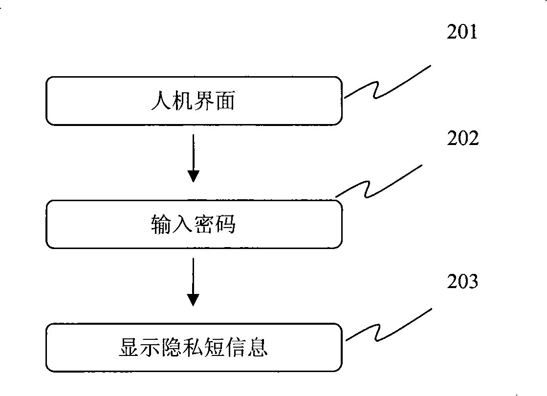 System and method for realizing privacy SMS on mobile terminal