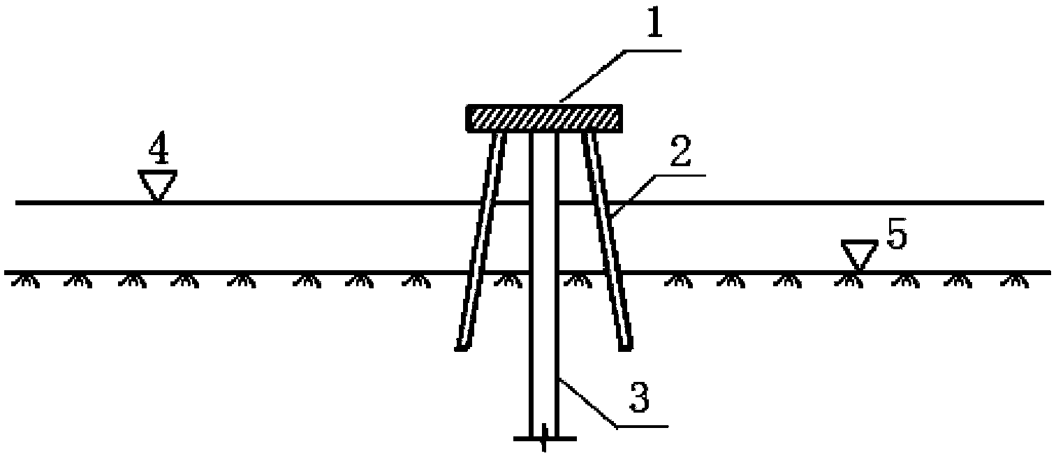 High-rise pile cap offshore wind power foundation combining vertical single pile and multiple raking piles