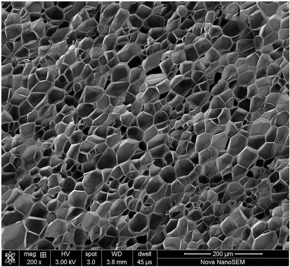 Method for preparing thermoplastic polymer foamed beads