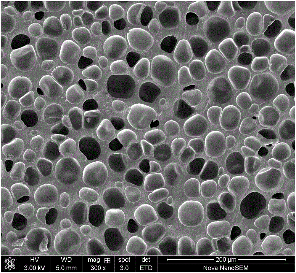 Method for preparing thermoplastic polymer foamed beads