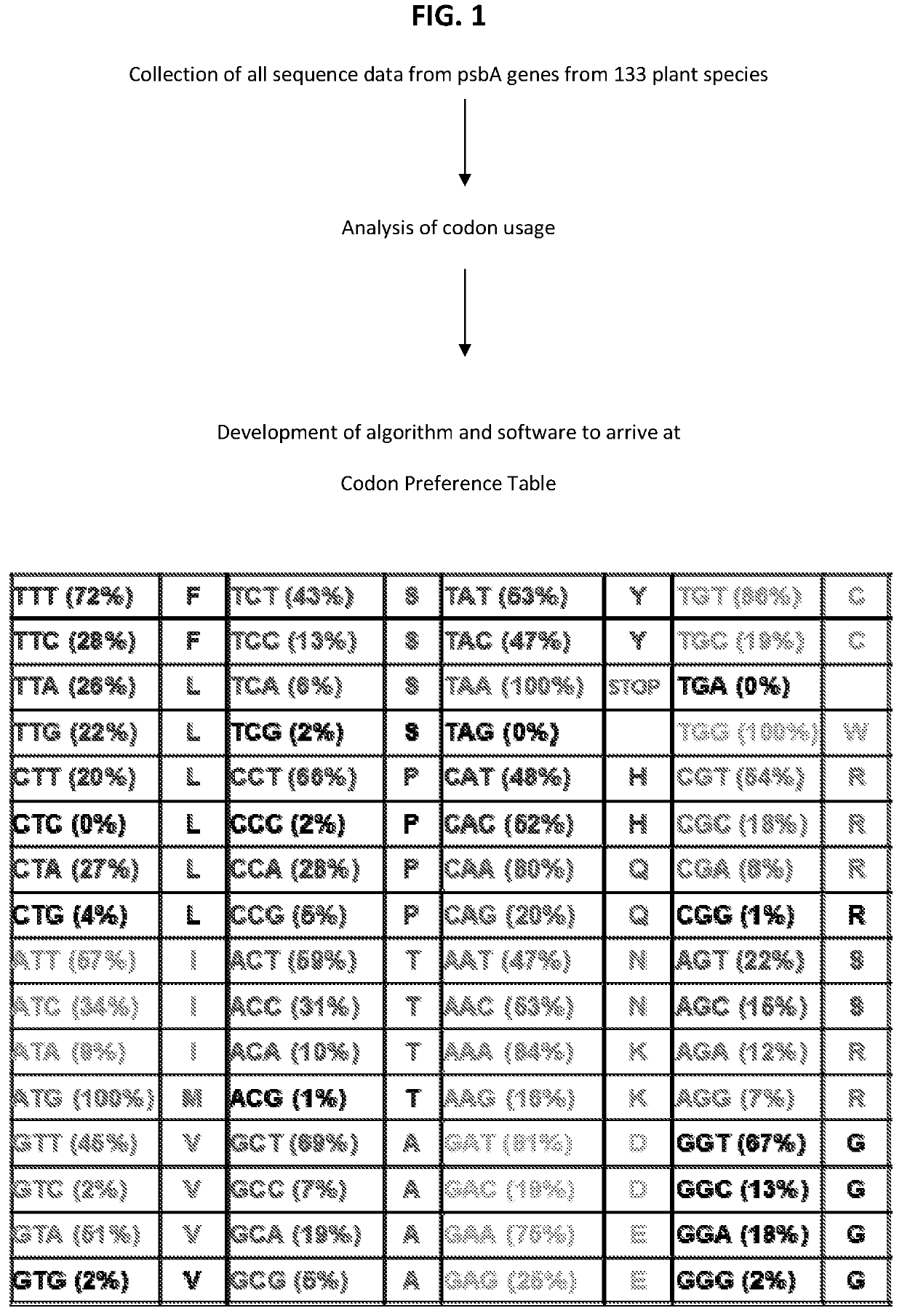 Codon optimization for increasing transgene expression in chloroplasts of higher seed plants