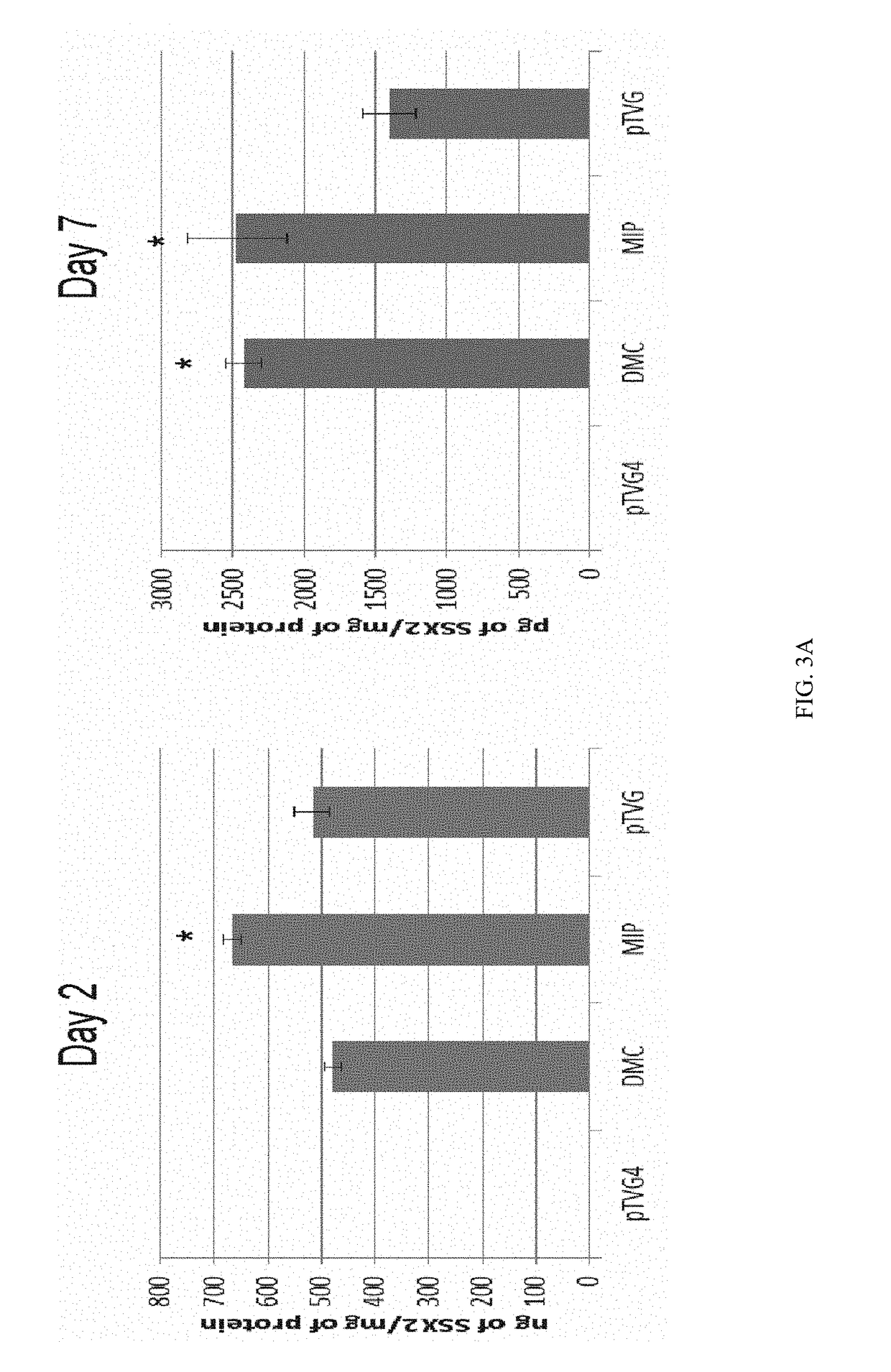 Mini-intronic plasmid DNA vaccines in combination with LAG3 blockade