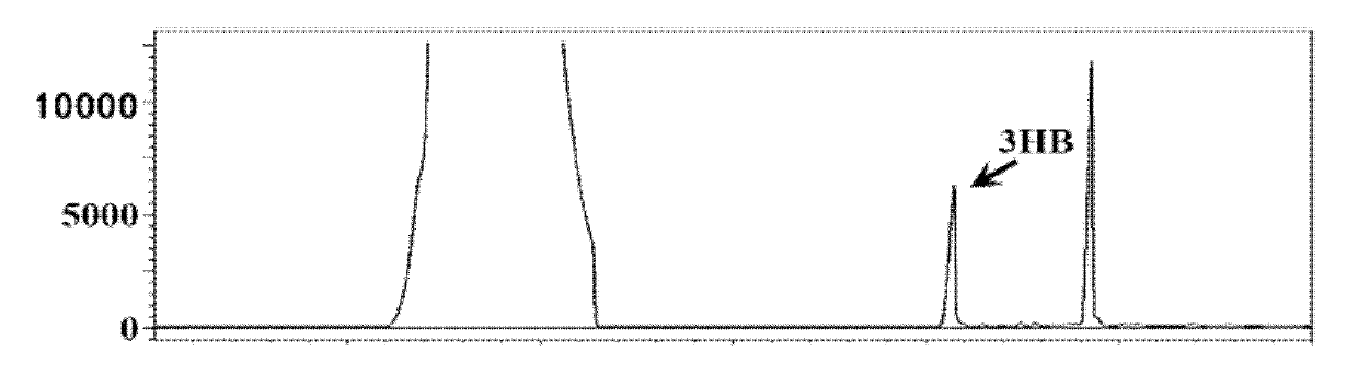 Method for preparing polyhydroxybutyrate (PHB)