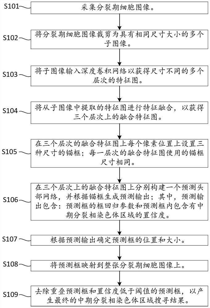 Metaphase split-phase chromosome region searching method and device