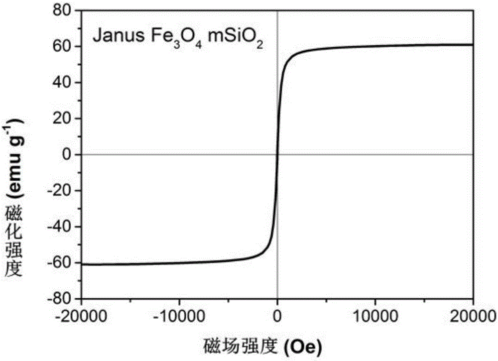 Nano drug-carrying system, and preparation and application thereof