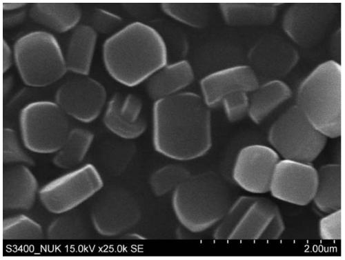 Preparation method of directional zeolite membrane