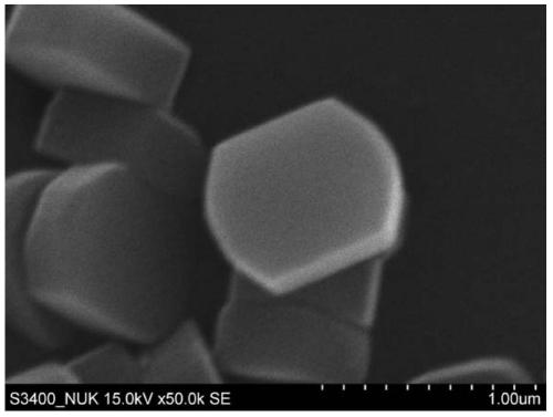 Preparation method of directional zeolite membrane