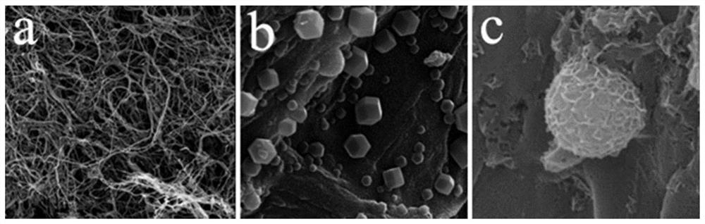 Waste paper aerogel, aerogel derivative and preparation method thereof