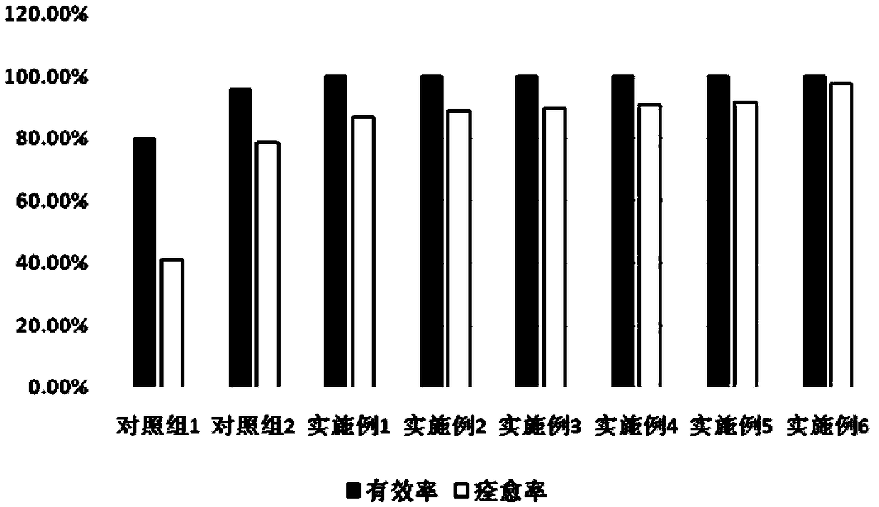 External plaster formula with effect of treating bone fracture