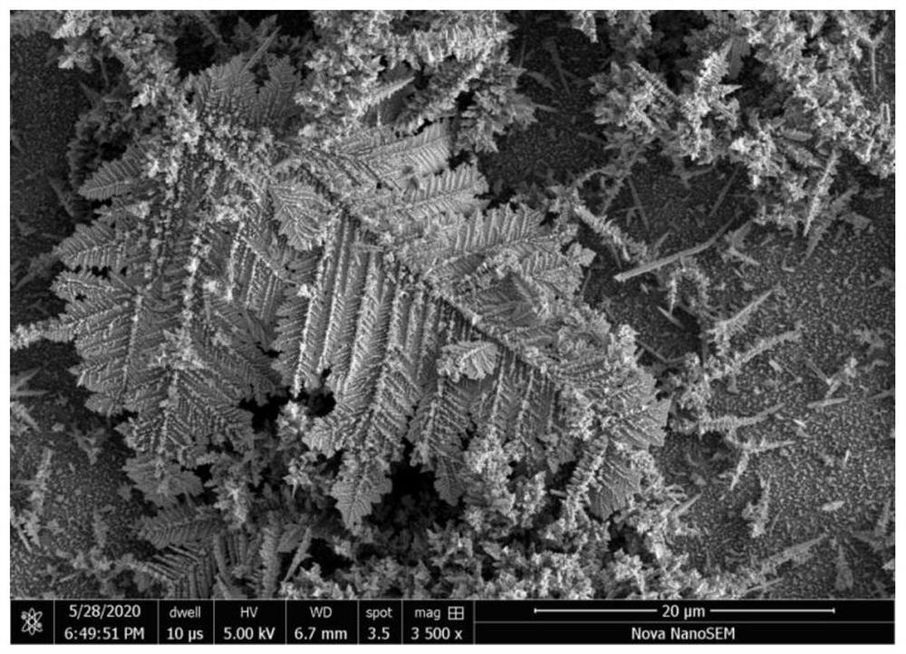 Single-step rapid preparation method of porous silicon-gold dendritic crystal composite structure