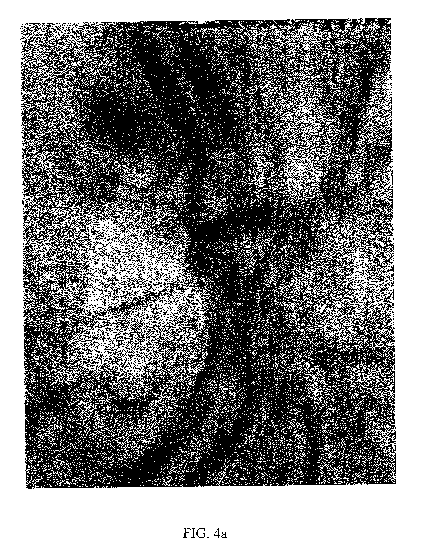 Spectral bio-imaging of the eye