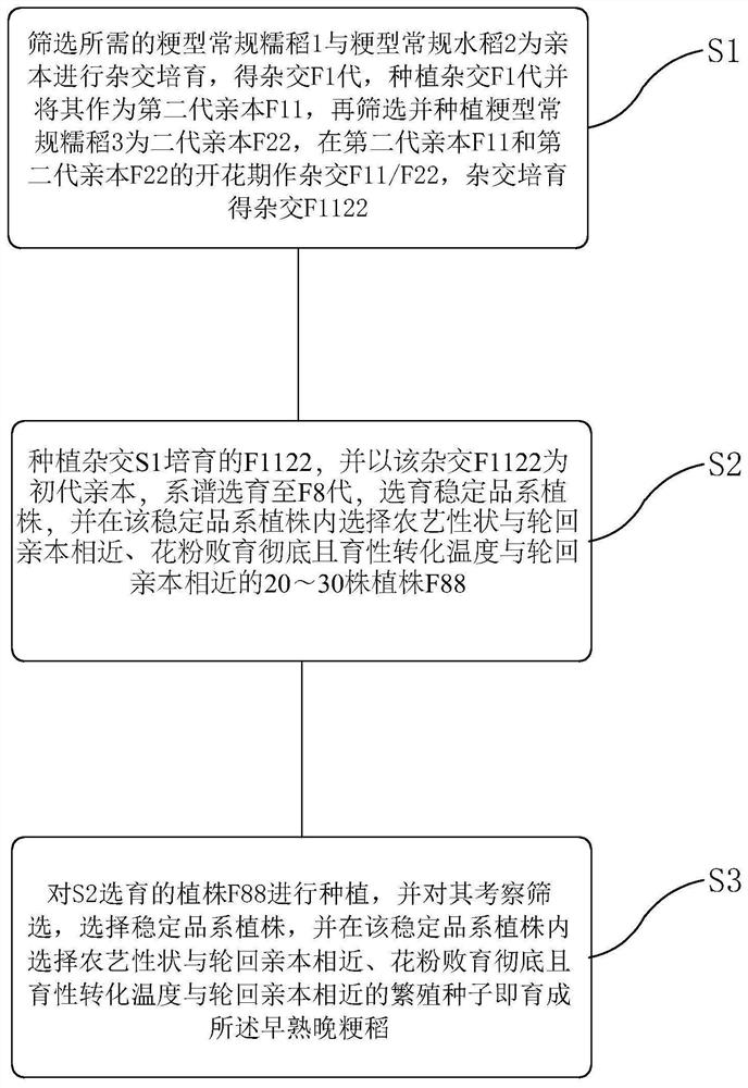 Early-maturing late japonica rice crossbreeding method