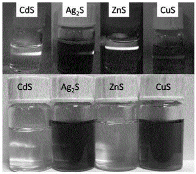 Ultra-small metal chalcogenide compound nano crystal and biological synthesis method and application thereof