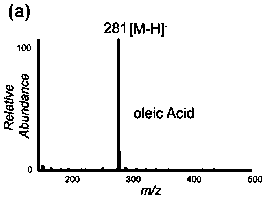 Method for authenticating unsaturated lipid carbon-carbon double bond position based on epoxidation and mass spectrum