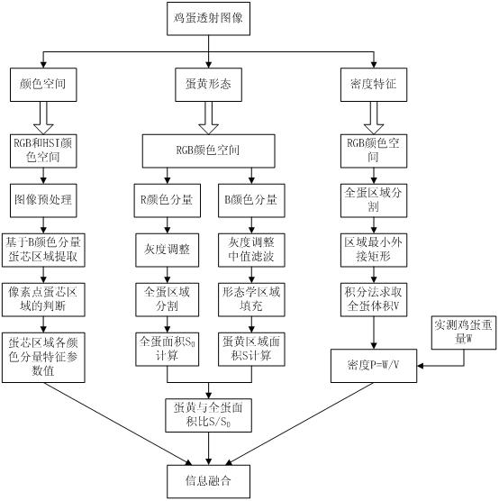 Machine vision technology based method for rapidly detecting egg freshness