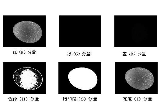 Machine vision technology based method for rapidly detecting egg freshness