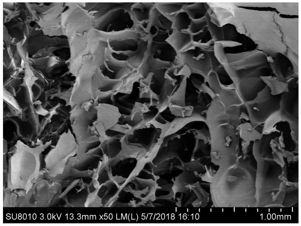 A kind of enzyme-modified freeze-dried instant tofu and its preparation method