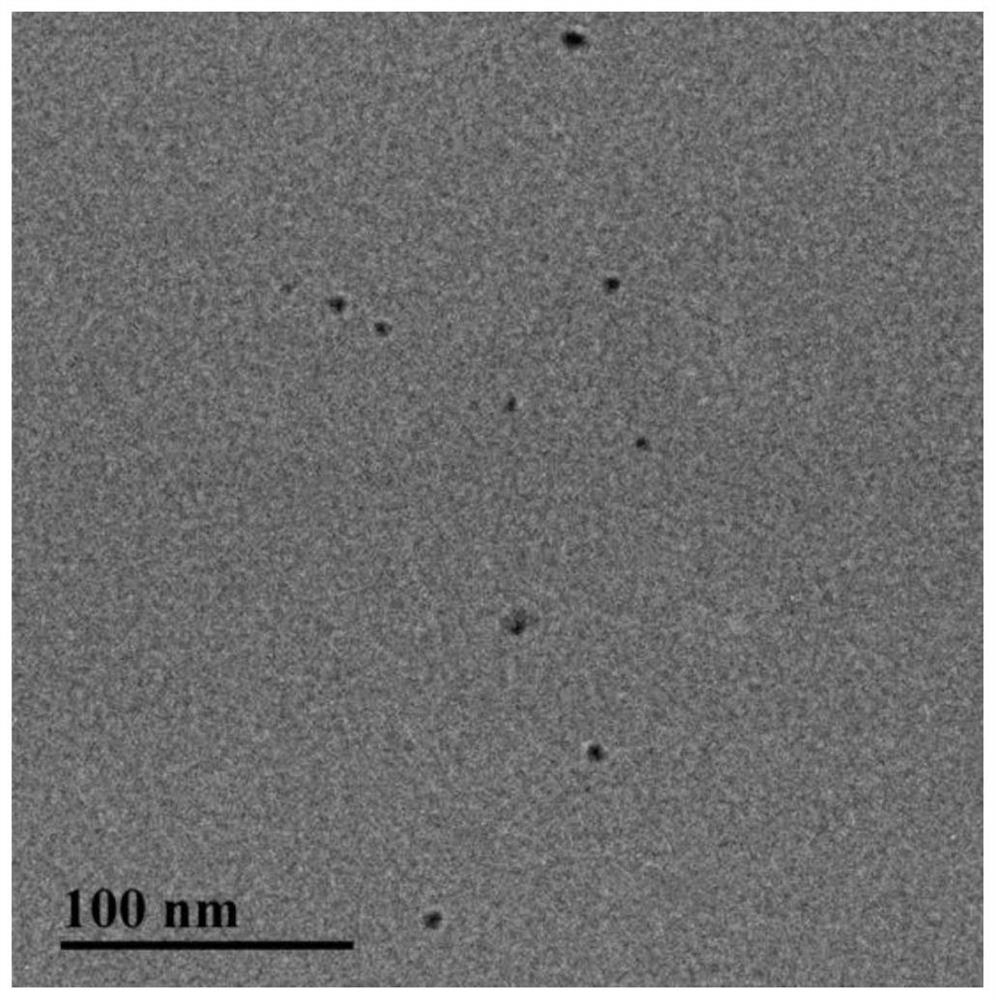 A method of controlling corn armyworm by using nano silicon quantum dots