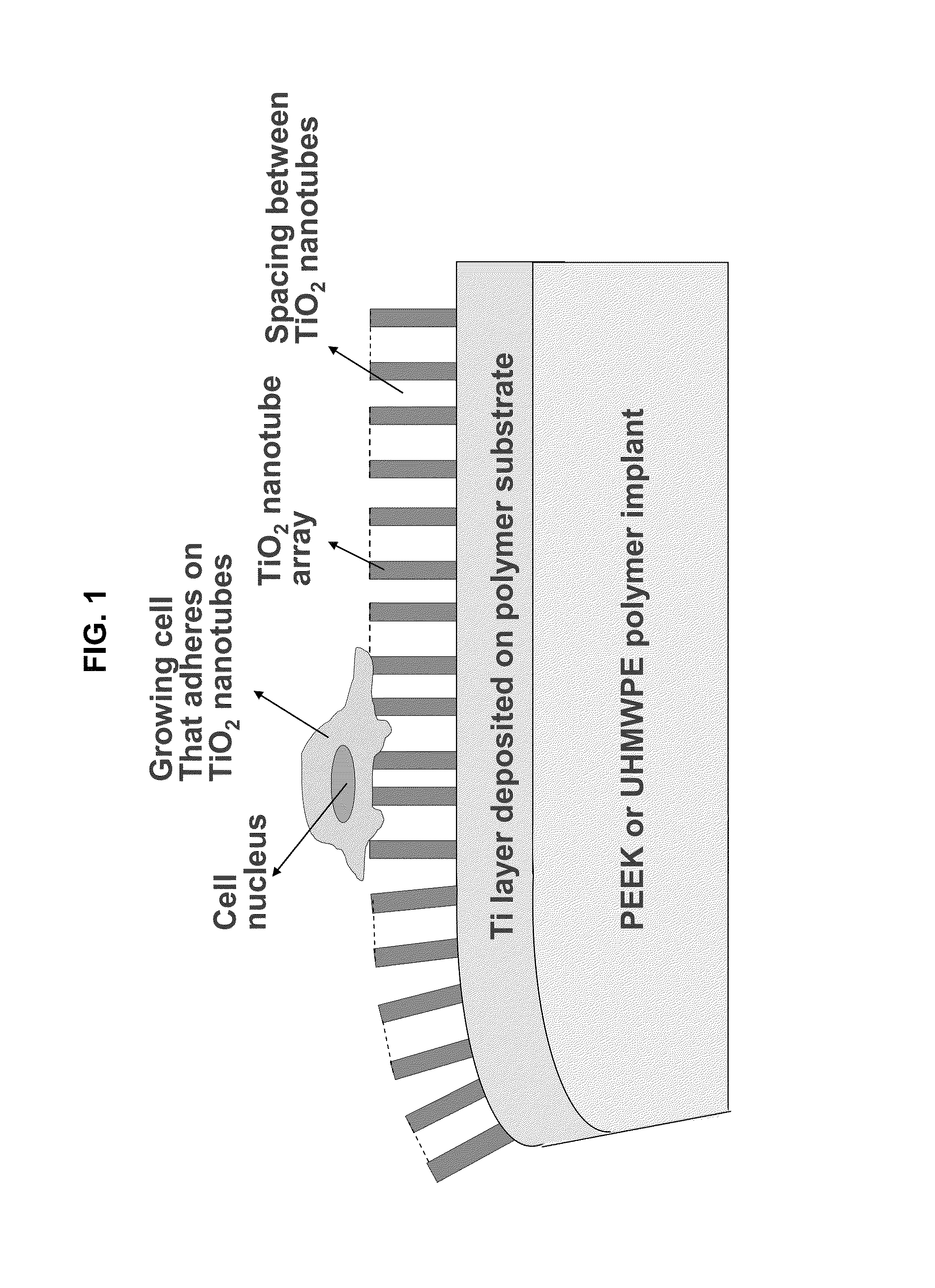 Inorganically surface-modified polymers and methods for making and using them