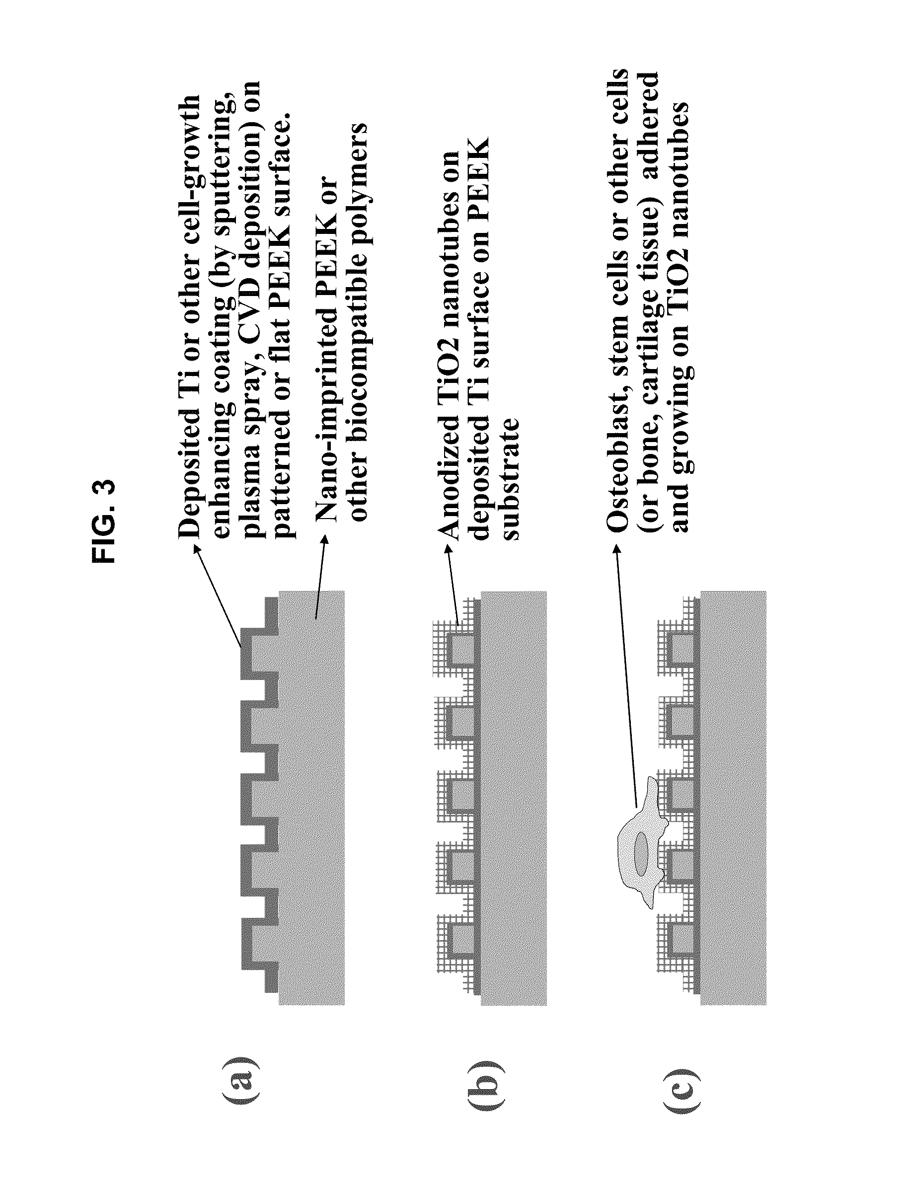 Inorganically surface-modified polymers and methods for making and using them