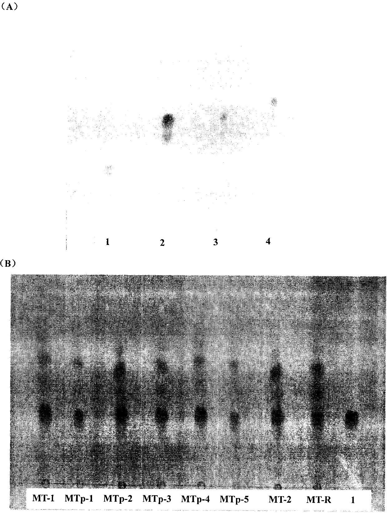 Detection method for limonins components in szechwan Chinaberry fruit extractive