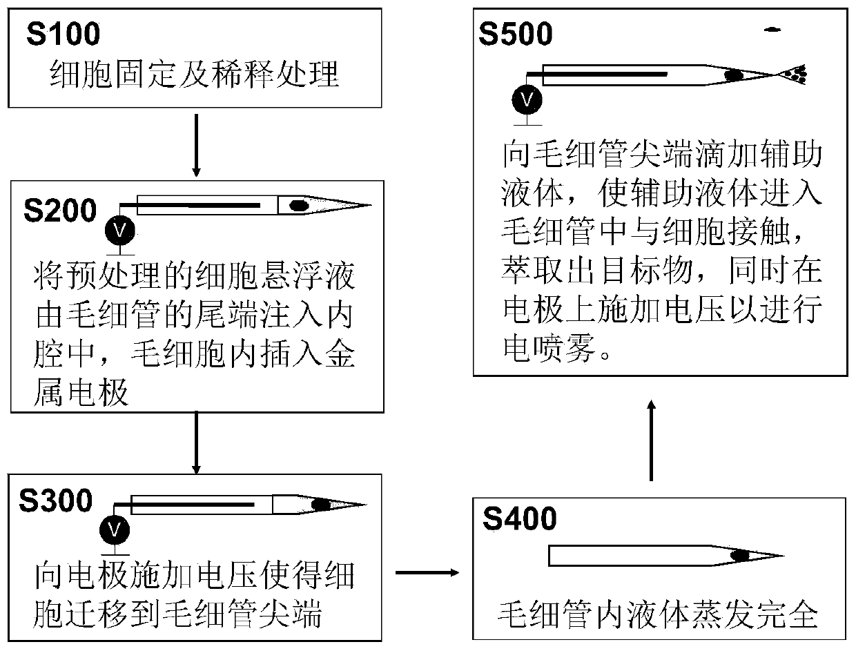 Single cell mass spectrometry method