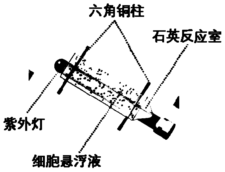 Single cell mass spectrometry method