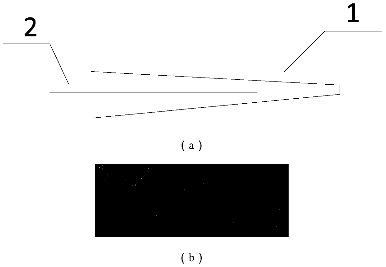 Single cell mass spectrometry method