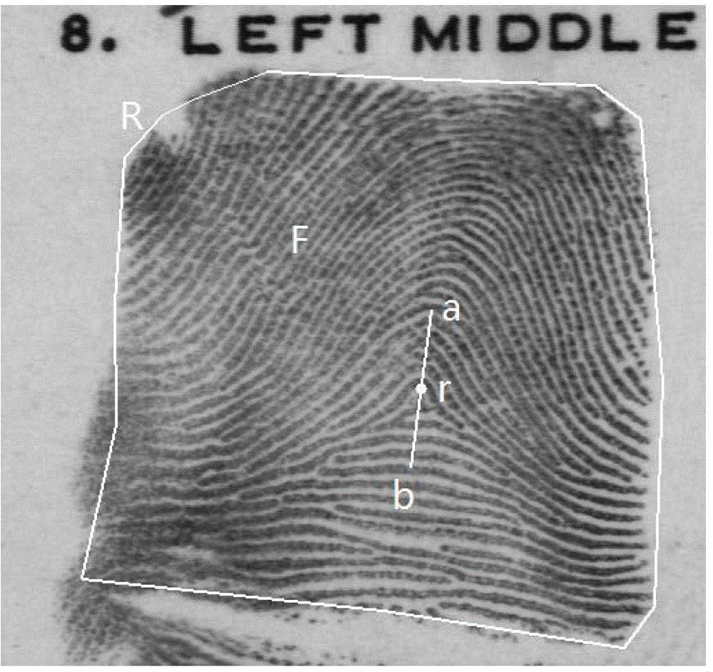 Fingerprint Correction Method Based on Orientation Field Distribution