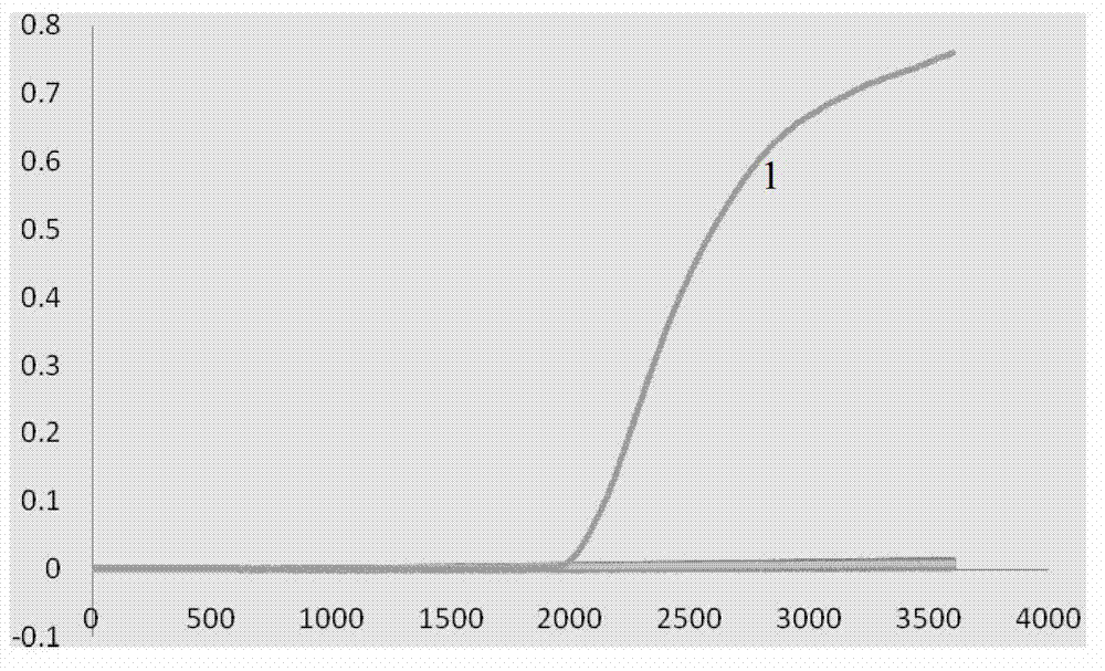 Method for detecting porcine sapeloviruses based on reverse transcription loop-mediated isothermal amplification technology