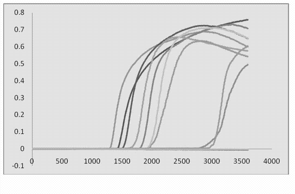 Method for detecting porcine sapeloviruses based on reverse transcription loop-mediated isothermal amplification technology